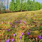 Skalna Chata Апартаменты Закопане